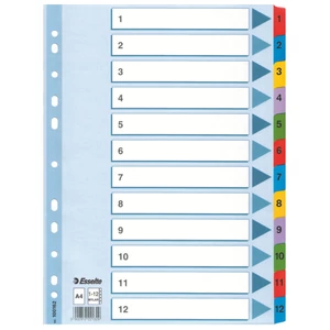 Regiszter Esselte 1-12 Mylar 1-12 A4 Esselte