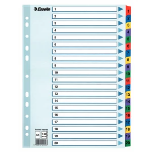 Regiszter Esselte 1-20 mylar 1-20 A4 Esselte