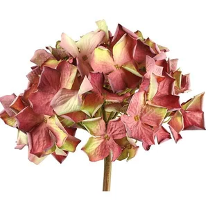 Selyemvirág művirág hortenzia Hydrangea rd L pink 63cm Holland SDDST53
