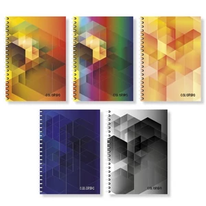 Spirálfüzet A4 pd Colorido, kockás/vonalas/sima  200 lapos többtantárgyas