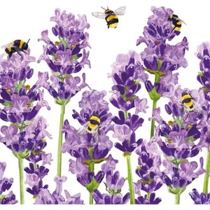 Szalvéta 25x25cm Bees