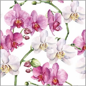 Szalvéta Ambiente Elegance Elegant orchids white papírszalvéta 25x25cm,15db-os