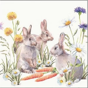 Szalvéta Ambiante Carrot treat papírszalvéta 25x25cm,15db-os