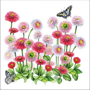 Szalvéta 33x33cm Bellis 20db-os