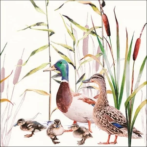 Szalvéta 33x33cm Ducks Couple 20db-os