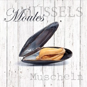 Szalvéta 33x33cm Moules 20db-os