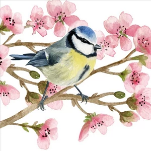 Szalvéta 33x33cm Oiseau Printemps 20db-os 