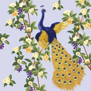 Szalvéta Ambiente Sommerappartement Pfau papírszalvéta 33x33cm,20db-os