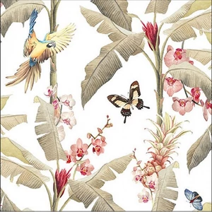 Szalvéta 33x33cm Tropical scene white 20db-os