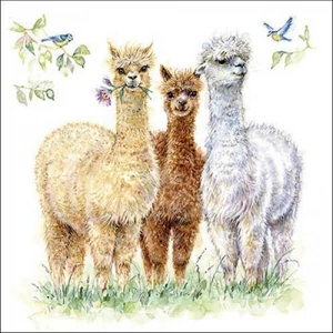 Szalvéta Ambiante Alpaca friends papír papírszalvéta 33x33cm,20db-os