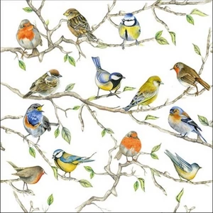 Szalvéta Ambiante Birds Meeting papír papírszalvéta 33x33cm,20db-os
