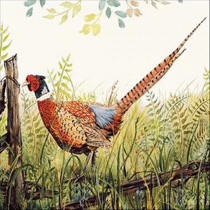 Szalvéta Ambiante Glorious Pheasant 33x33 20db