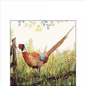Szalvéta Ambiante Glorious Pheasant 25x25cm 20db