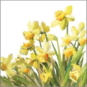 Szalvéta Ambiante Godl en Daffodils papírszalvéta 25x25cm,15db-os