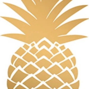 Szalvéta Ambiante Godl en Pineapple papírszalvéta 33x33cm,20db-os