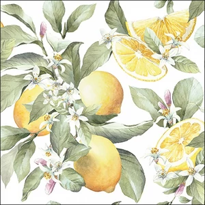 Szalvéta Ambiante citromos Limoni papírszalvéta 25x25cm,15db-os