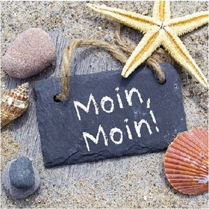 Szalvéta Ambiante Moin Moin papírszalvéta 25x25cm,15db-os