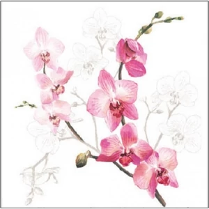 Szalvéta Ambiante Orchid papírszalvéta 25x25cm,15db-os