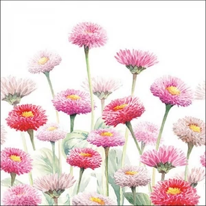 Szalvéta Ambiante Painted Bellis papírszalvéta 33x33cm,20db-os