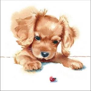 Szalvéta Ambiante Puppy