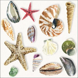Szalvéta Ambiante Shells papírszalvéta 33x33cm,20db-os