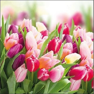 Szalvéta Ambiante tulipán Glorious Tulips papírszalvéta 25x25cm,15db-os