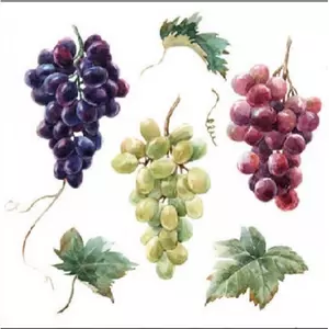 Szalvéta Ambiente Wine grapes 25x25cm, 20db/csomag