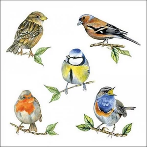 Szalvéta Ambiente bird love 33x33 3rétegű 20db/csomag 13318135