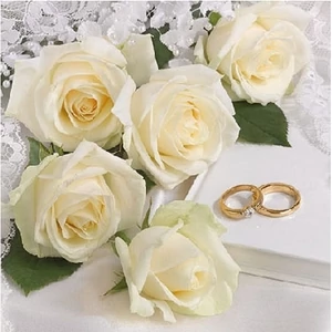 Szalvéta Ambiante White Wedding papírszalvéta 25x25cm,15db-os