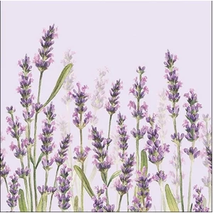 Szalvéta Ambiante Lavender Shade lila papírszalvéta 33x33cm,20db-os