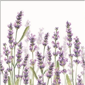 Szalvéta Ambiante levendulás Lavender Shades white papírszalvéta 25x25cm,15db-os