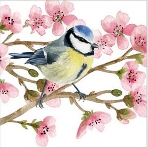 Szalvéta Ambiente Oiseau Printemps papírszalvéta 25x25cm,20db-os