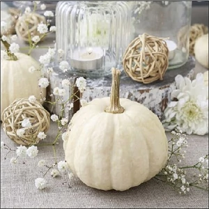 Szalvéta Ambiante Modern Pumpkin papírszalvéta 25x25cm,15db-os