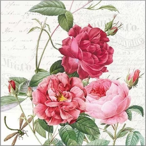 Szalvéta Ambiante Amber papír papírszalvéta 33x33cm,20db-os