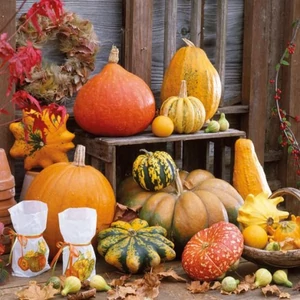 Szalvéta Ambiente Pumkins Picture 33x33cm, 20lapos 3rétegű 13309605 szalvéta.