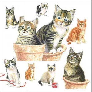 Szalvéta Ambiante Cute kittens papír papírszalvéta 33x33cm,20db-os