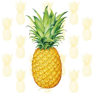 Szalvéta Ambiente Tropical Fruit 33x33cm 3rétegű 20db/csomag 133309530 szalvéta.