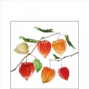 Szalvéta Ambiante Lampion flower papírszalvéta 25x25cm,15db-os
