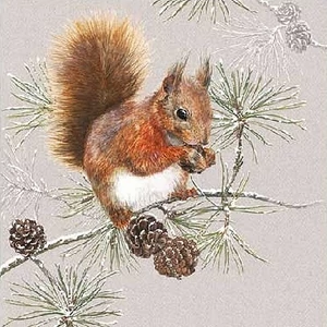 Szalvéta Ambiante Squirrel In Winter papírszalvéta 25x25cm,15db-os
