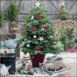 Szalvéta Ambiante Decorated fir papír papírszalvéta 33x33cm,20db-os