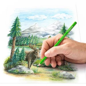 Színes ceruza 12 Staedtler Design Journey hatszögletű 12színű Írószerek STAEDTLER 146C C12