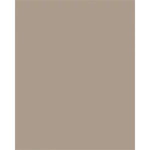 Színes papír A4 130 g 100 lap FOLIA cappuccino