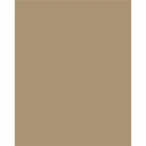Színes papír A4 130 g 100 lap FOLIA őzbarna