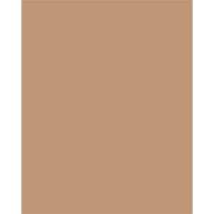 Színes papír A4 130 g 100 lap FOLIA világosbarna
