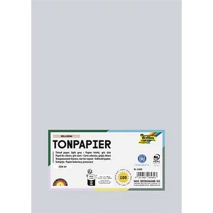 Színes papír A4 130 g 100 lap FOLIA világosszürke