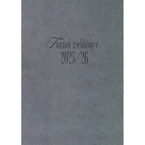 Tanítói zsebkönyv 2025/26 heti 145x205mm, szürke színű Realsystem   kollekció 5317-03