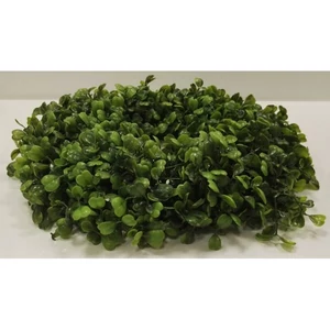 Koszorú dekor buxus 31cm