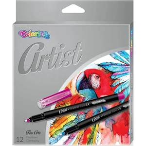 Tűfilckészlet Colorino Artist 12db-os