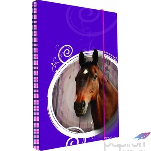 FüzetboxA4 KPP HORSE / LOVAS 1-397
