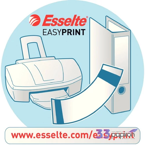 Iratrendező Esselte STANDARD VIVIDA A4 50mm élvédős sárga Esselte
